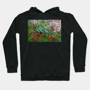 Old trailer Hoodie